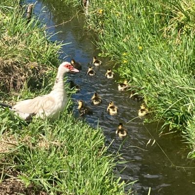 WhatsApp Image 2024-02-29 at 12.20.08 PM